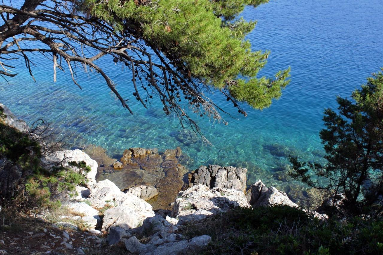 Apartments With A Parking Space Bozava, Dugi Otok - 8108 外观 照片