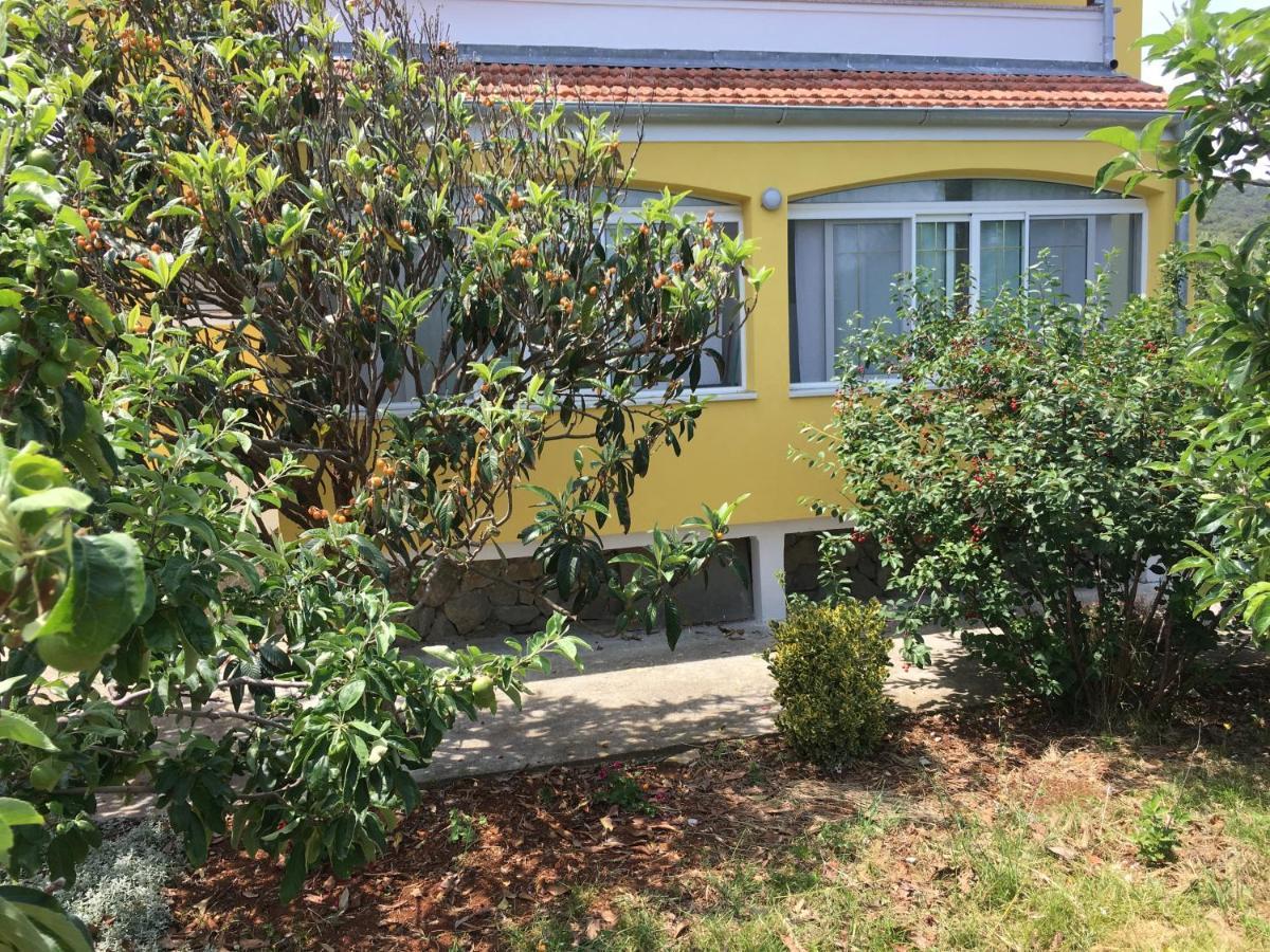 Apartments With A Parking Space Bozava, Dugi Otok - 8108 外观 照片