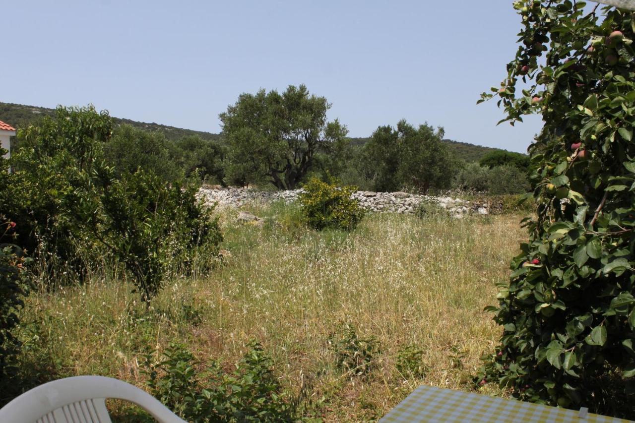 Apartments With A Parking Space Bozava, Dugi Otok - 8108 外观 照片
