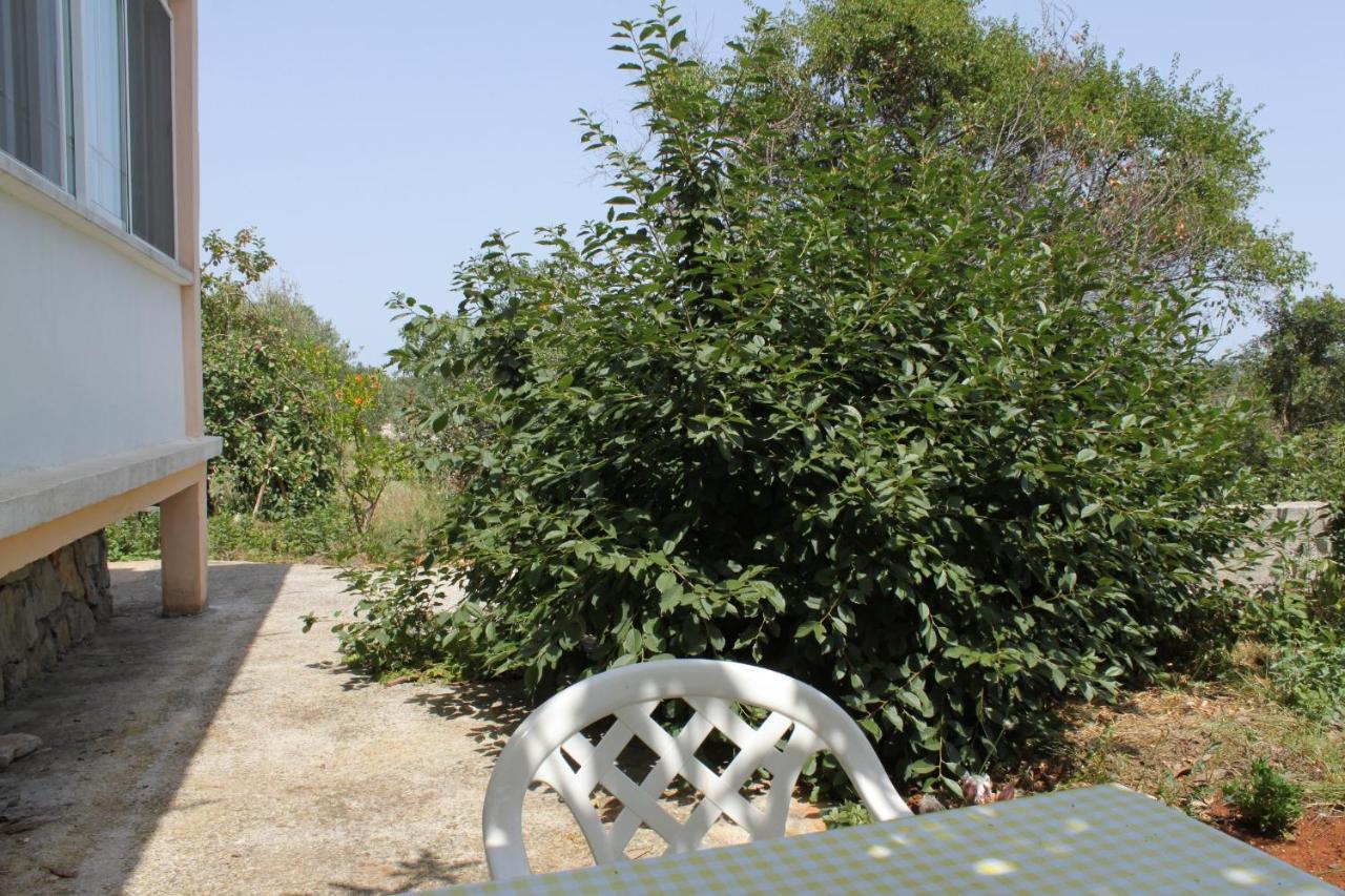 Apartments With A Parking Space Bozava, Dugi Otok - 8108 外观 照片