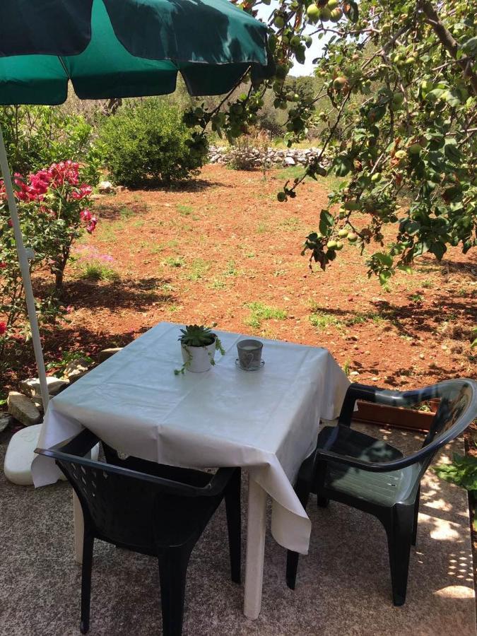 Apartments With A Parking Space Bozava, Dugi Otok - 8108 外观 照片