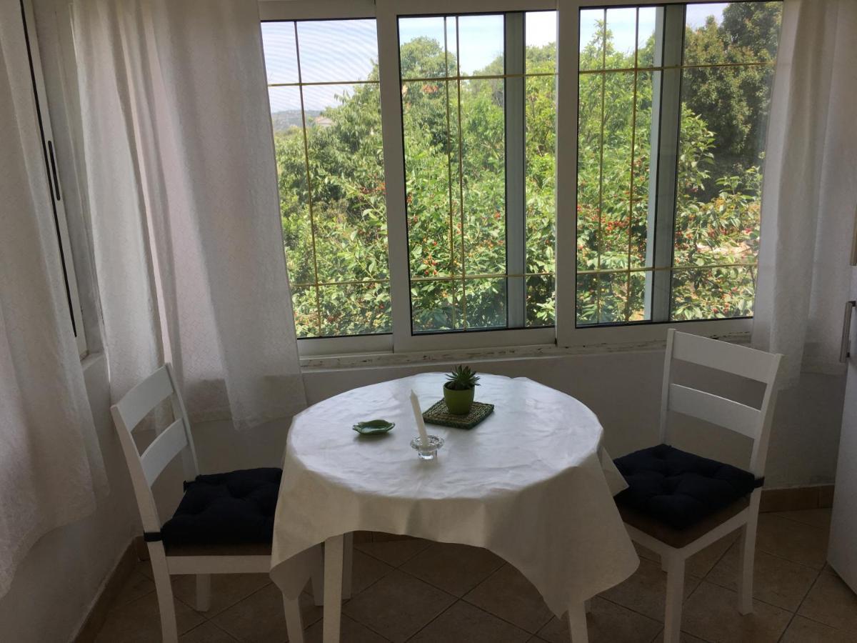 Apartments With A Parking Space Bozava, Dugi Otok - 8108 外观 照片